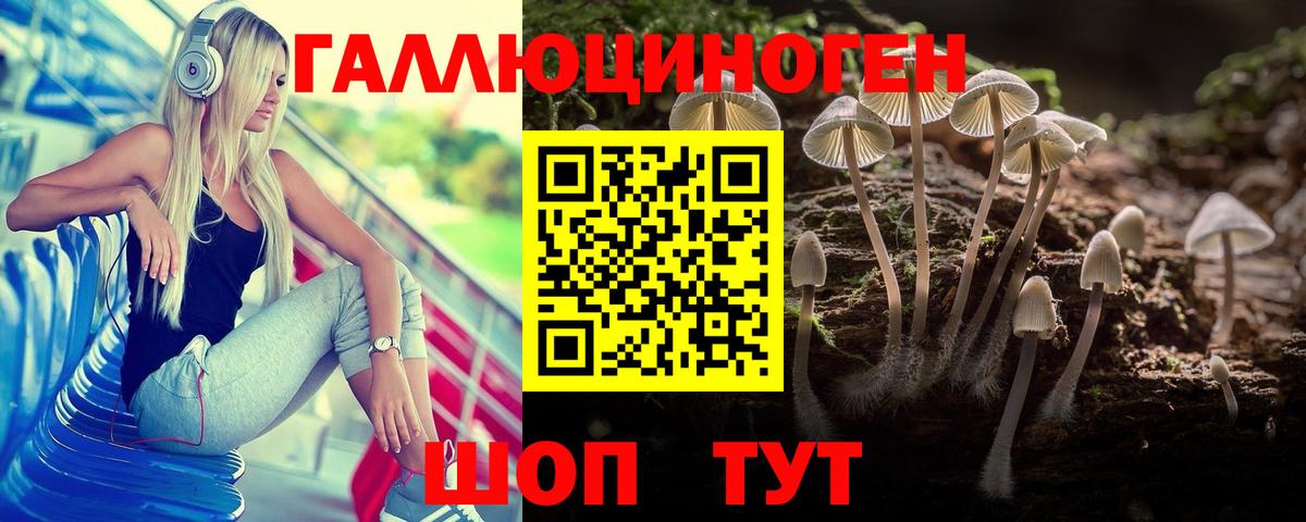 Галлюциногенные грибы Cubensis  Вход с VPN  Рязань  Галлюциногенные грибы мицелий 