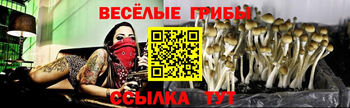 Галлюциногенные грибы Magic Shrooms Рязань